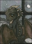 (image for) May I Go Flying